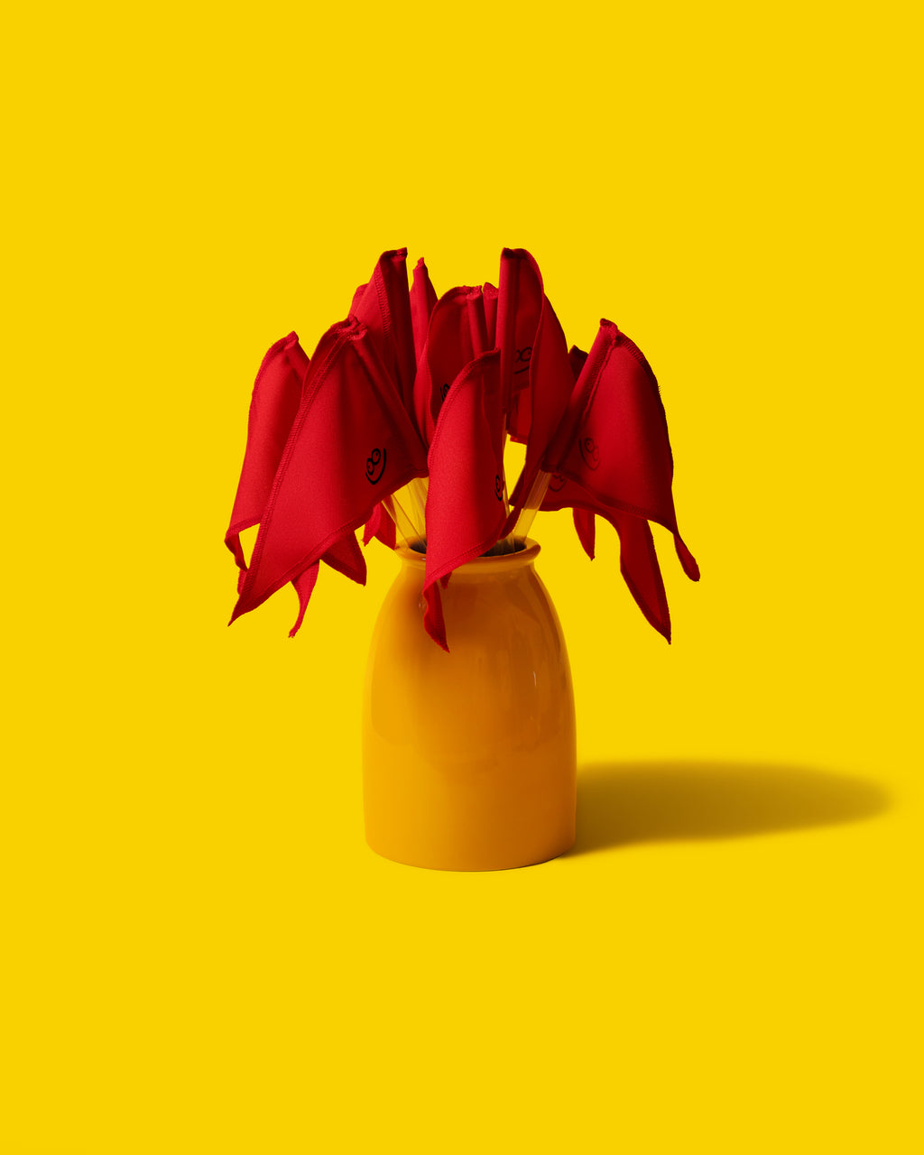 Ponzy Red Flag
